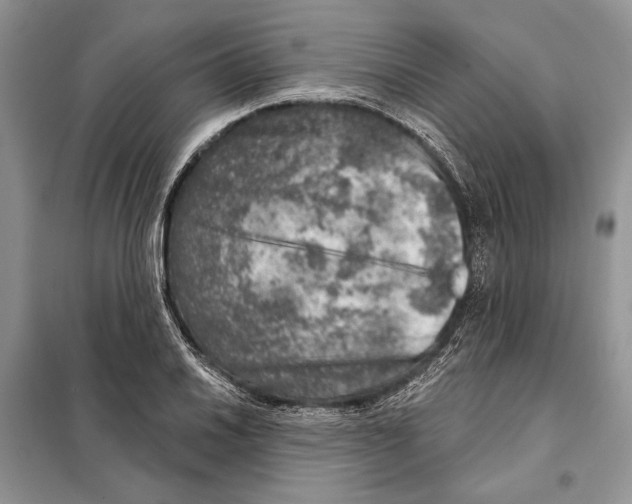 X0000098071030200805020952