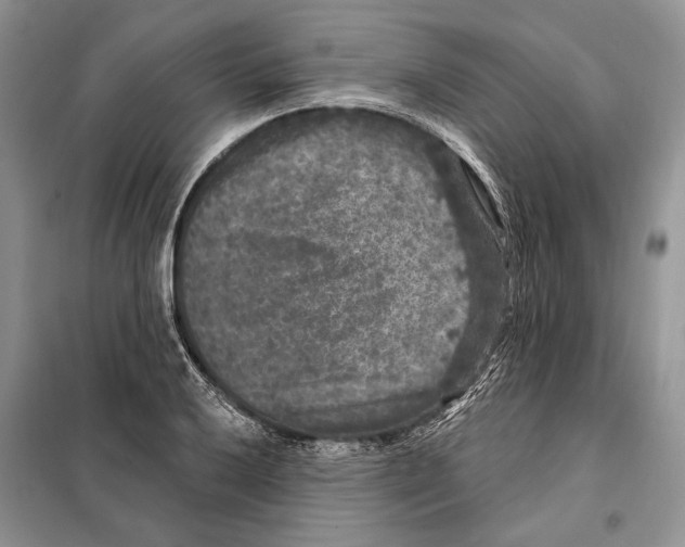 X0000098071032200805020952