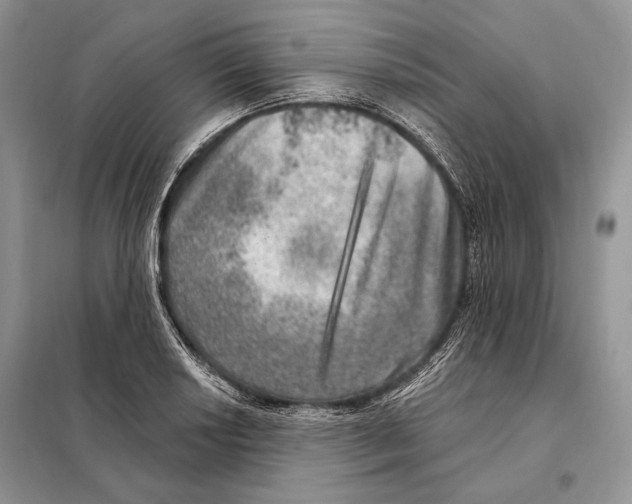 X0000098071034200805020952