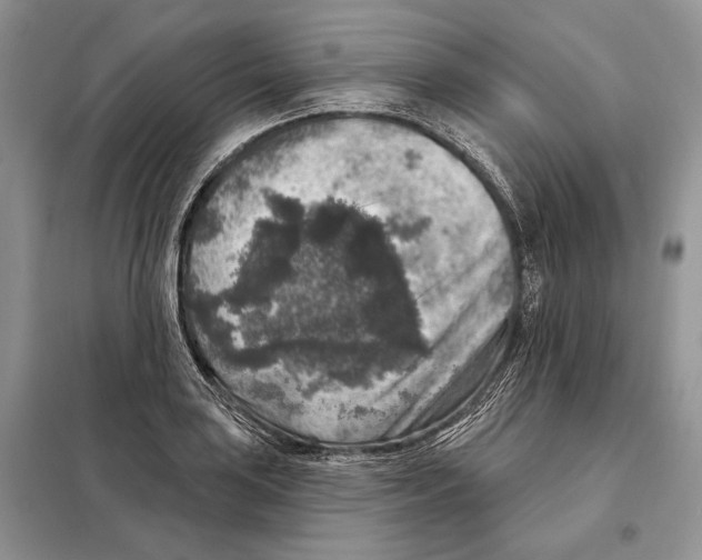 X0000098071035200805020952