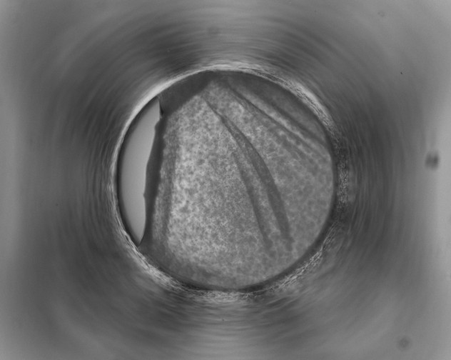 X0000098071036200805020953