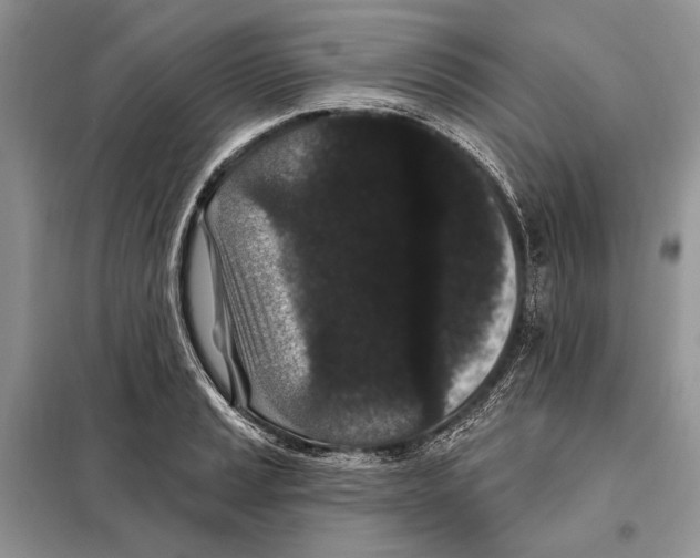 X0000098071037200805020953