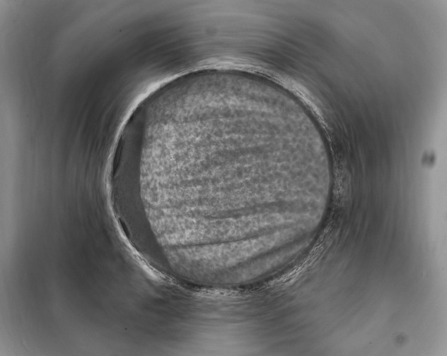 X0000098071040200805020953