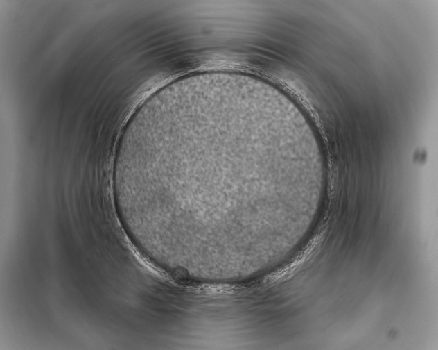 X0000098071041200805020953