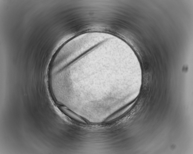 X0000098071042200805020953