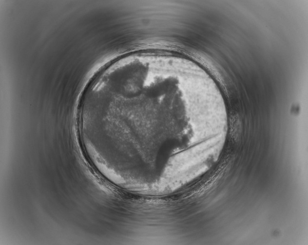 X0000098071043200805020953