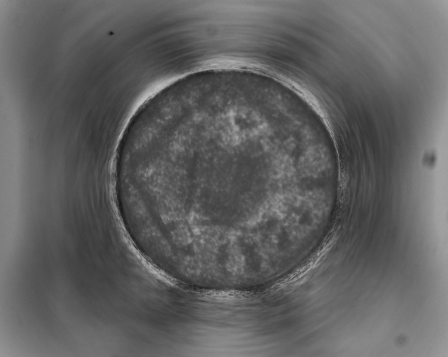 X0000098071045200805020953