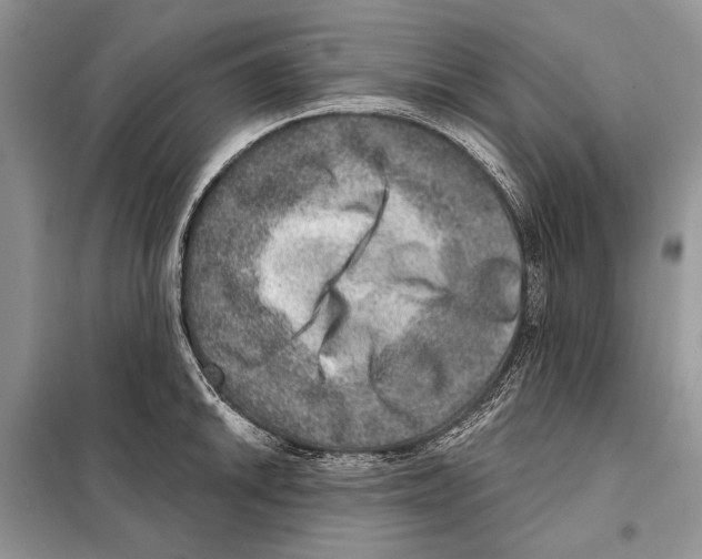 X0000098071046200805020953