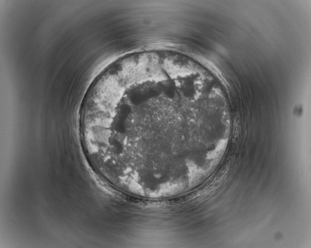 X0000098071047200805020953