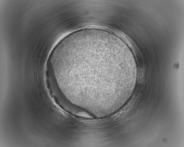 X0000098071048200805020953