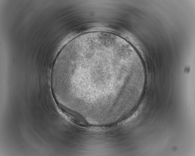 X0000098071049200805020953