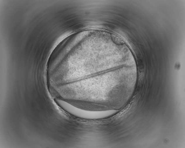 X0000098071050200805020953