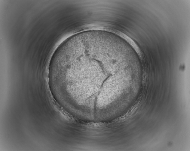 X0000098071051200805020953