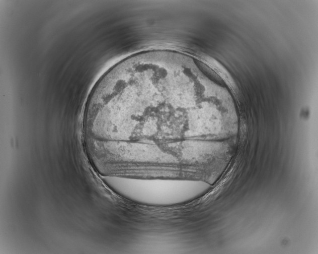 X0000098071052200805020953