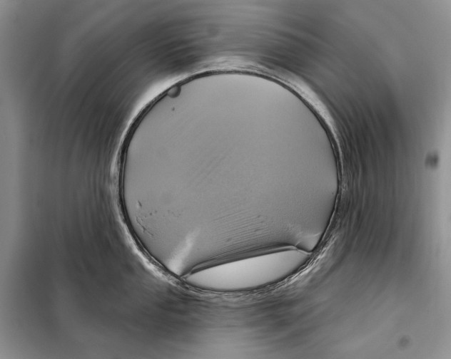 X0000098071053200805020953