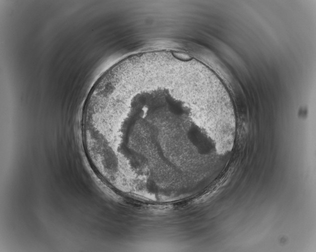 X0000098071055200805020953