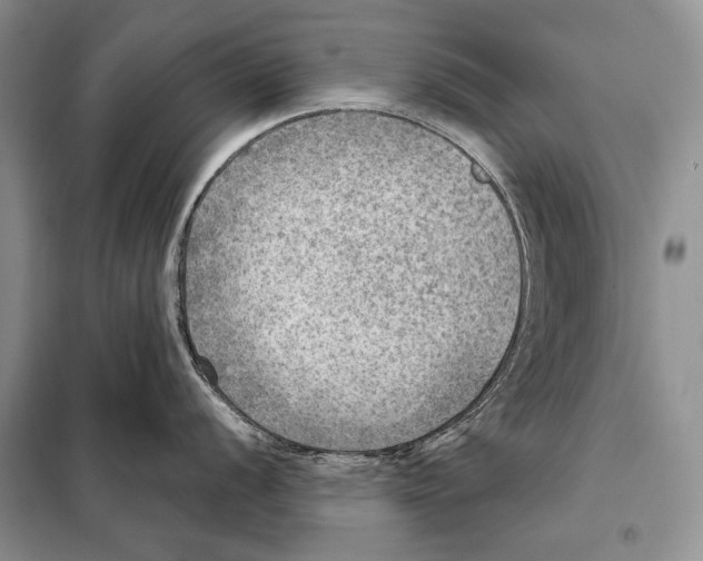 X0000098071056200805020953