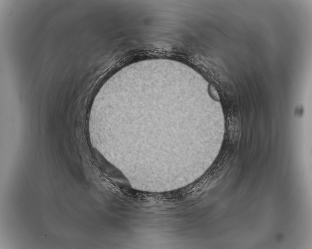 X0000098071057200805020952