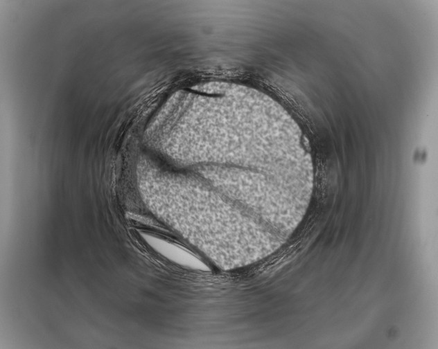 X0000098071058200805020952