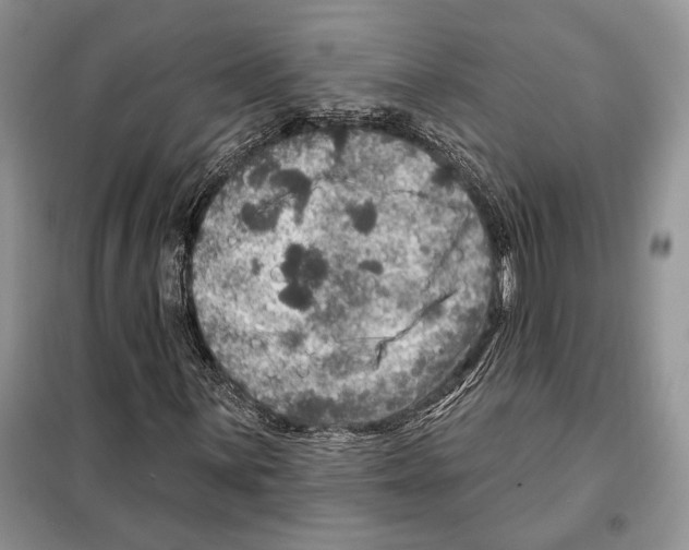 X0000098071059200805020952