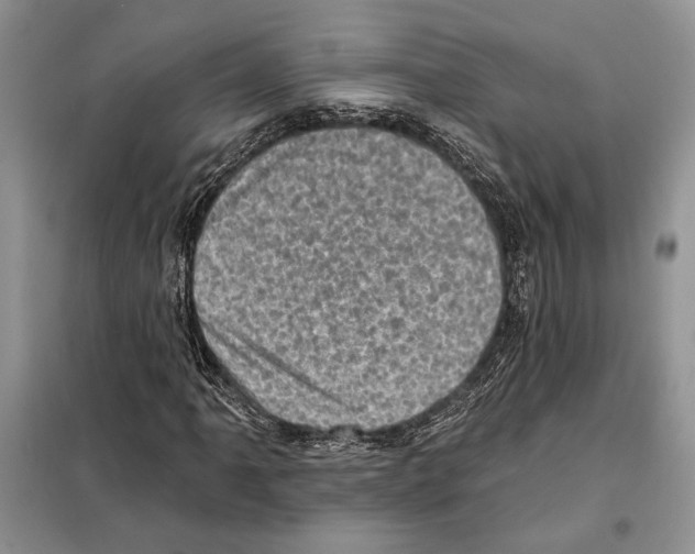 X0000098071061200805020952