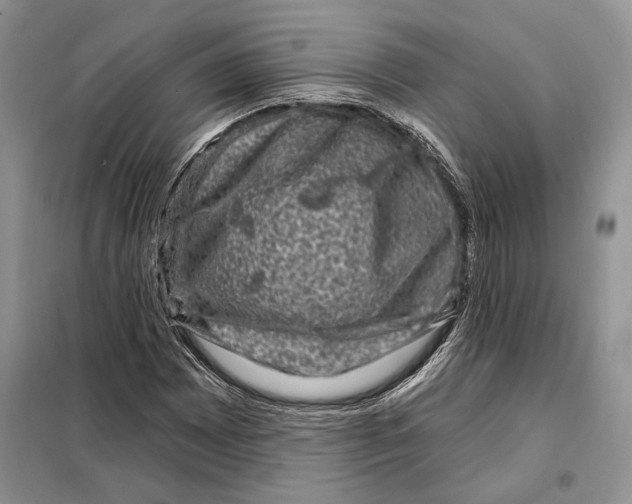 X0000098071065200805020952