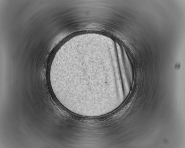 X0000098071066200805020952