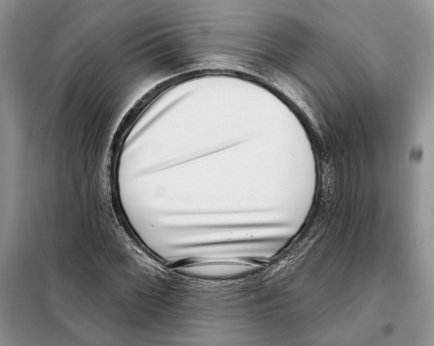 X0000098071068200805020952