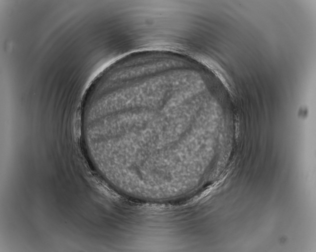 X0000098071069200805020952