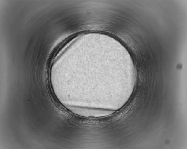 X0000098071070200805020952