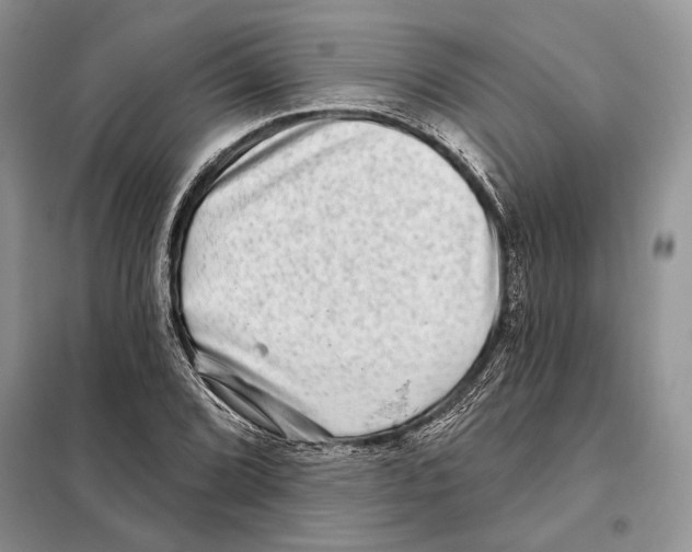 X0000098071072200805020952