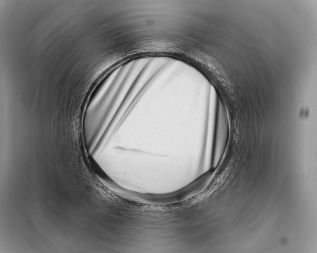 X0000098071073200805020952