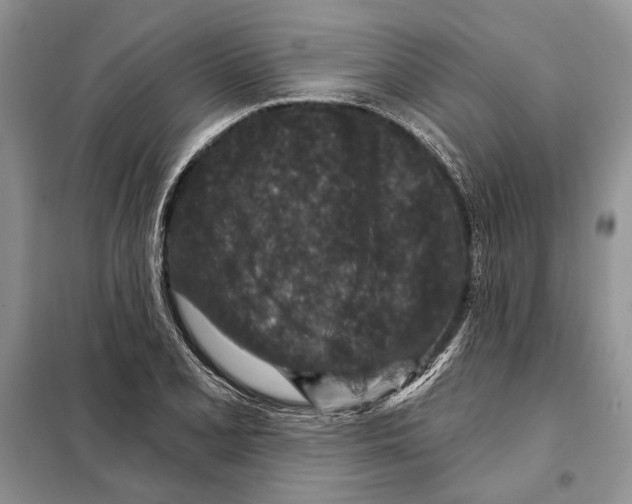 X0000098071077200805020952