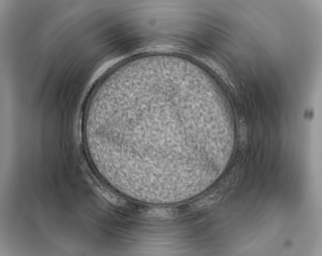 X0000098071078200805020952