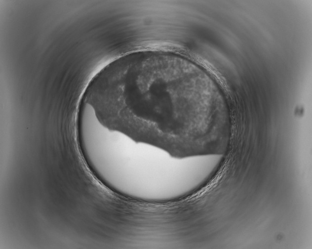 X0000098071079200805020952