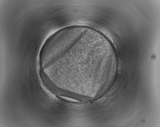 X0000098071080200805020952