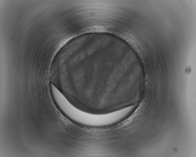 X0000098071081200805020952