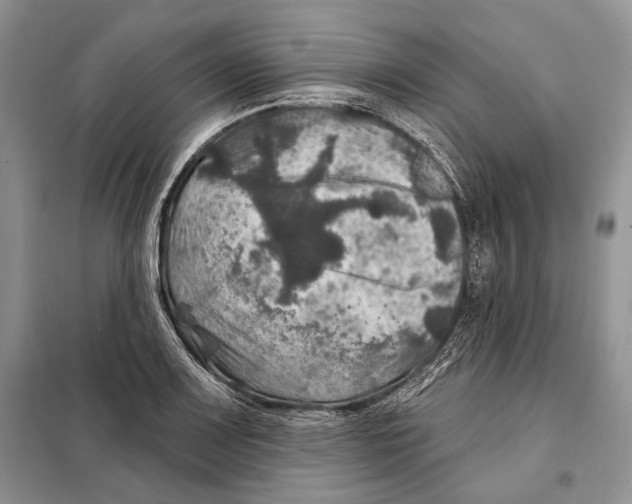 X0000098071083200805020952