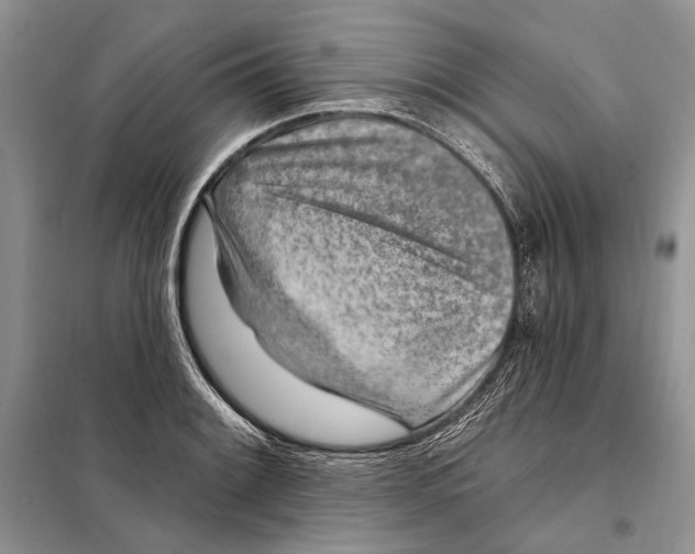 X0000098071084200805020952