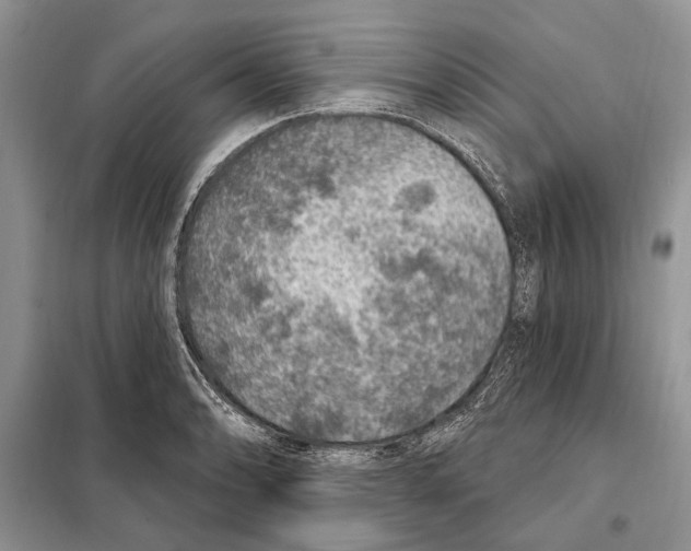 X0000098071086200805020952