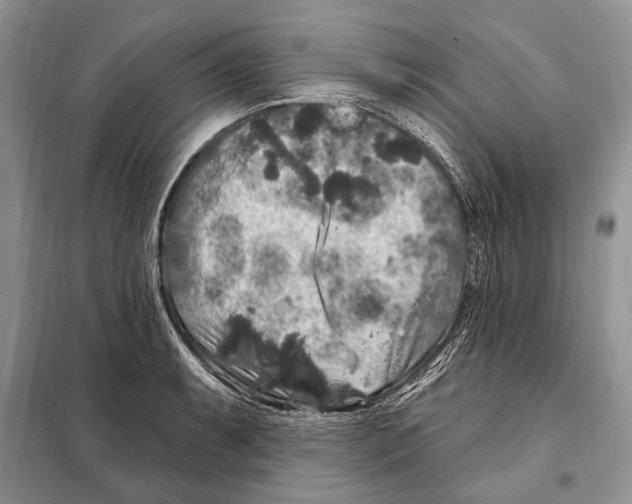 X0000098071087200805020952