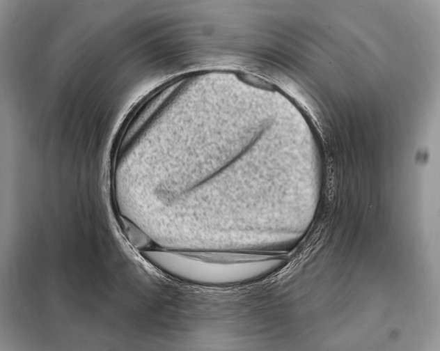 X0000098071088200805020952