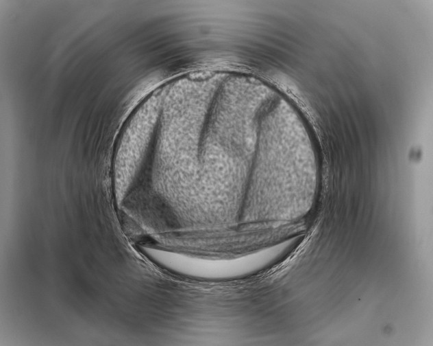 X0000098071089200805020952