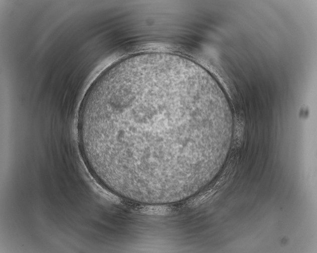 X0000098071090200805020952