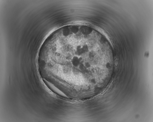 X0000098071091200805020952