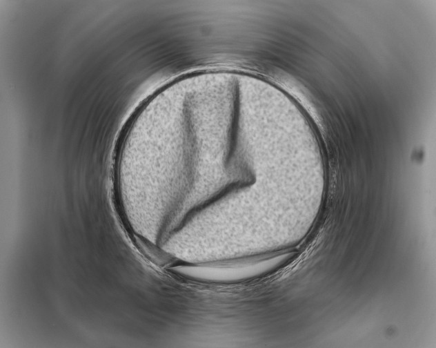 X0000098071093200805020952