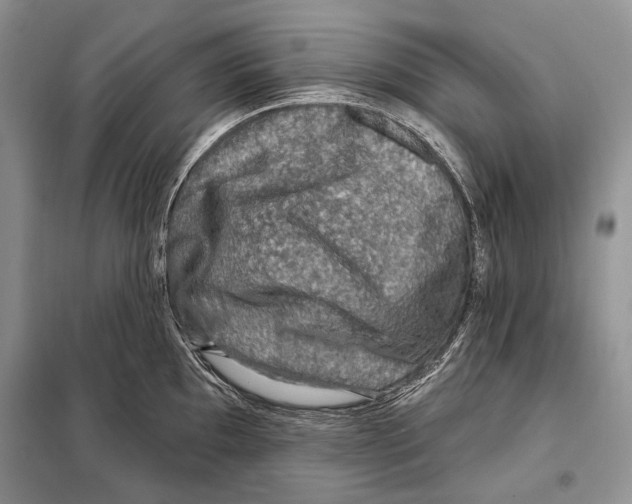 X0000098071097200805020952