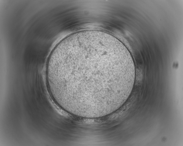 X0000098071098200805020952