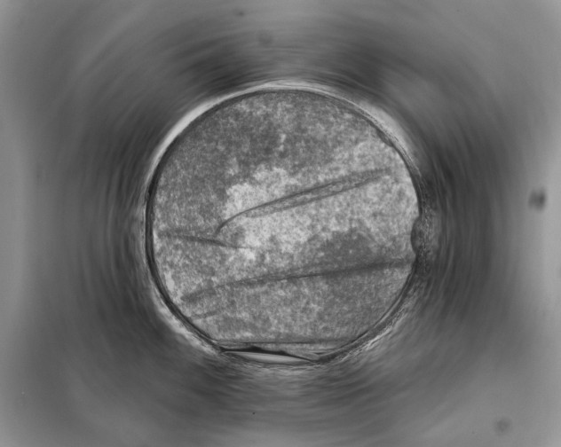 X0000098071100200805020951