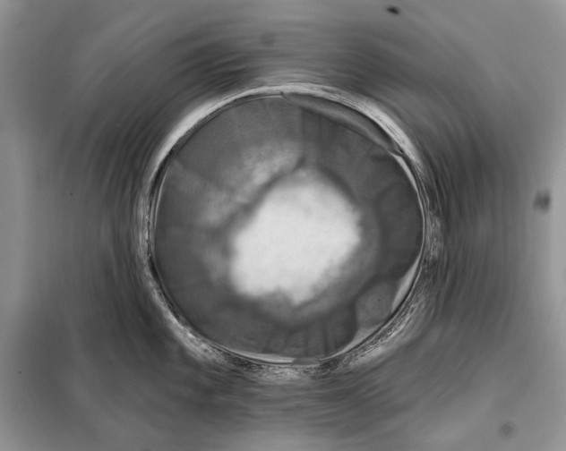 X0000098071101200805020951